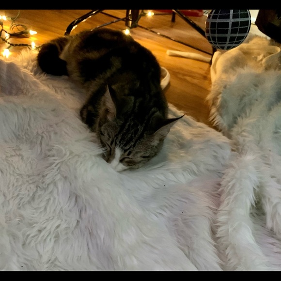 Join our new tag list !! Let’s help each other 💕 - Picture 7 of 7